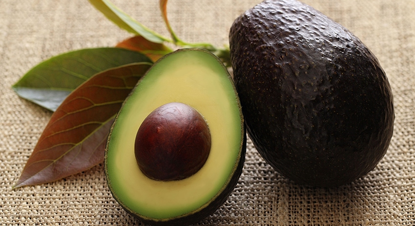 foodstorage  Avocado recipes, Healthy recipes, Cooking