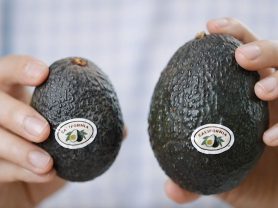 How to Safely Cut an Avocado Without Cutting Yourself