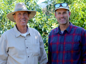 A photo of Warren and Andy Lyall in their avocado grove