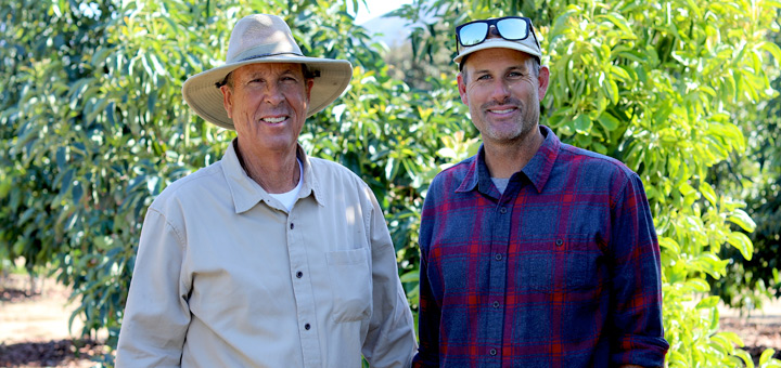 A photo of Warren and Andy Lyall in their avocado grove
