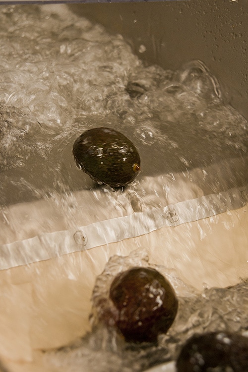 washing avocados