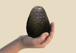 Hand holding a whole California Avocado