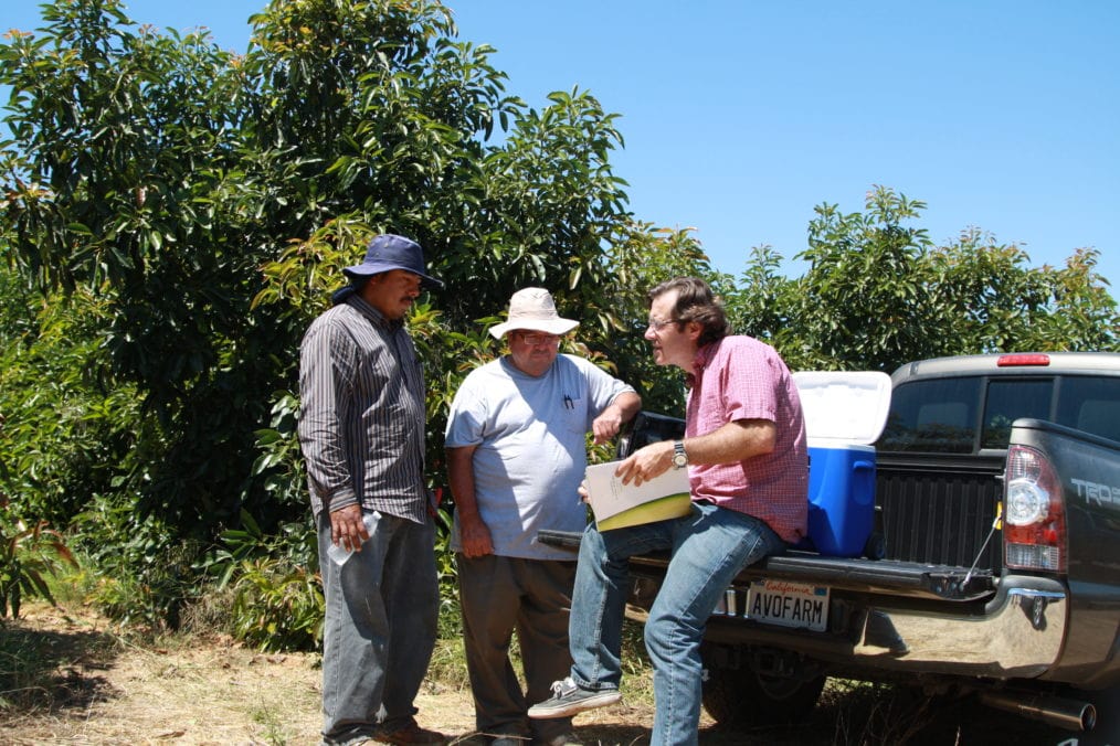A California Avocado grower sitting on the tailgate of his truck providing in-the-grove training to two workers