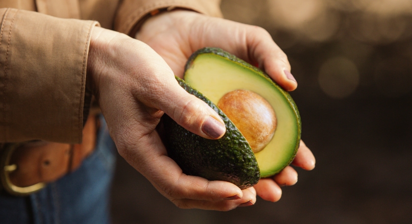 Close up of hands holding a California avocado sliced in half