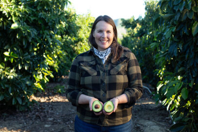 California avocado grower in the orchard holding a avocado that has been cut in half